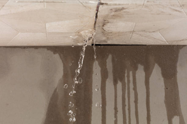 Professional Structural Drying technician working in Hendersonville, NC